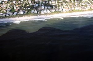 Red tide