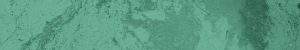 satellite_image_algae_in_water