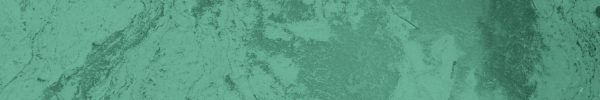 satellite_image_algae_in_water